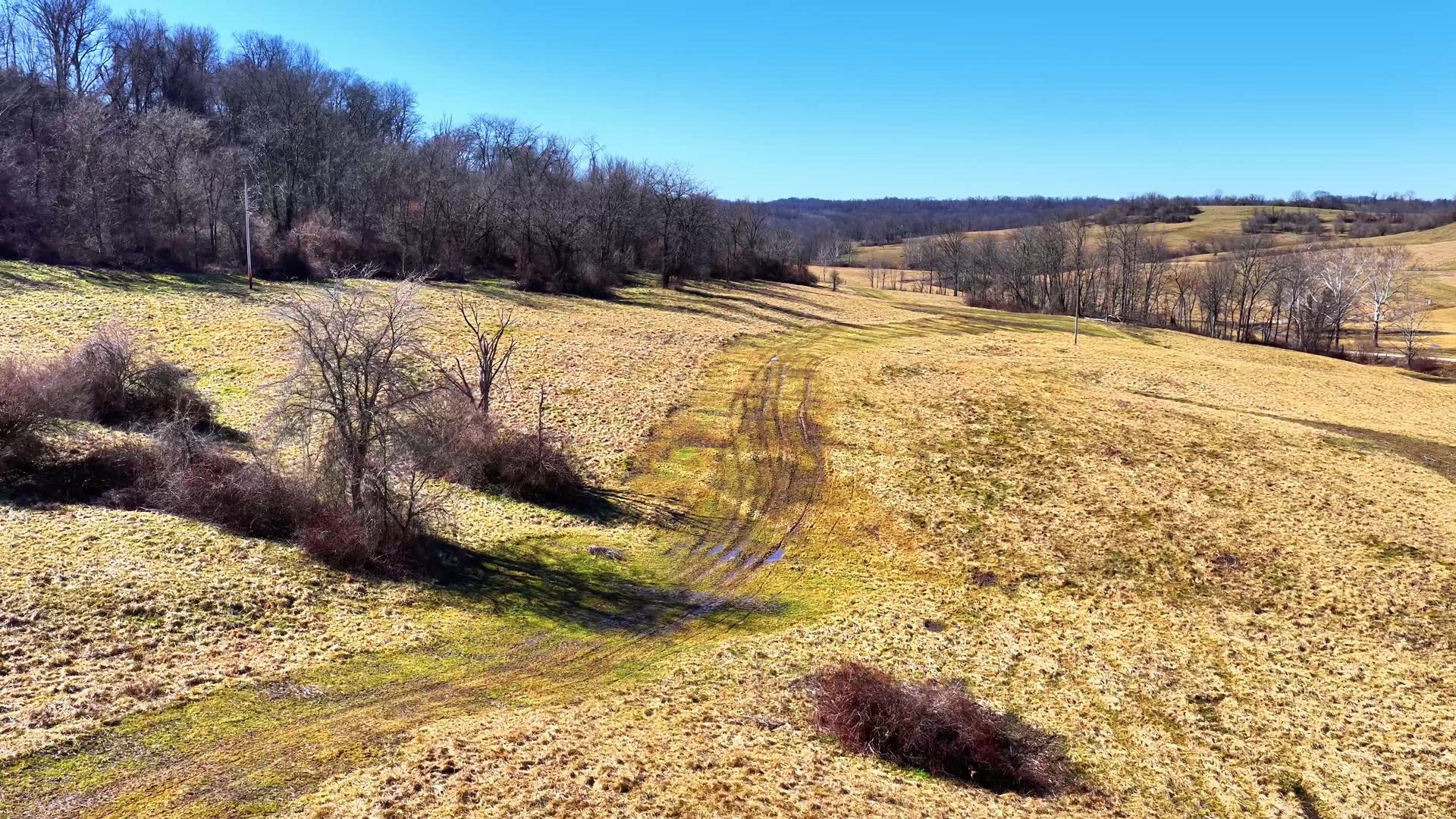 0 SR 376 Tract 4 - 15 Acres in Morgan County, OH - Photo 12