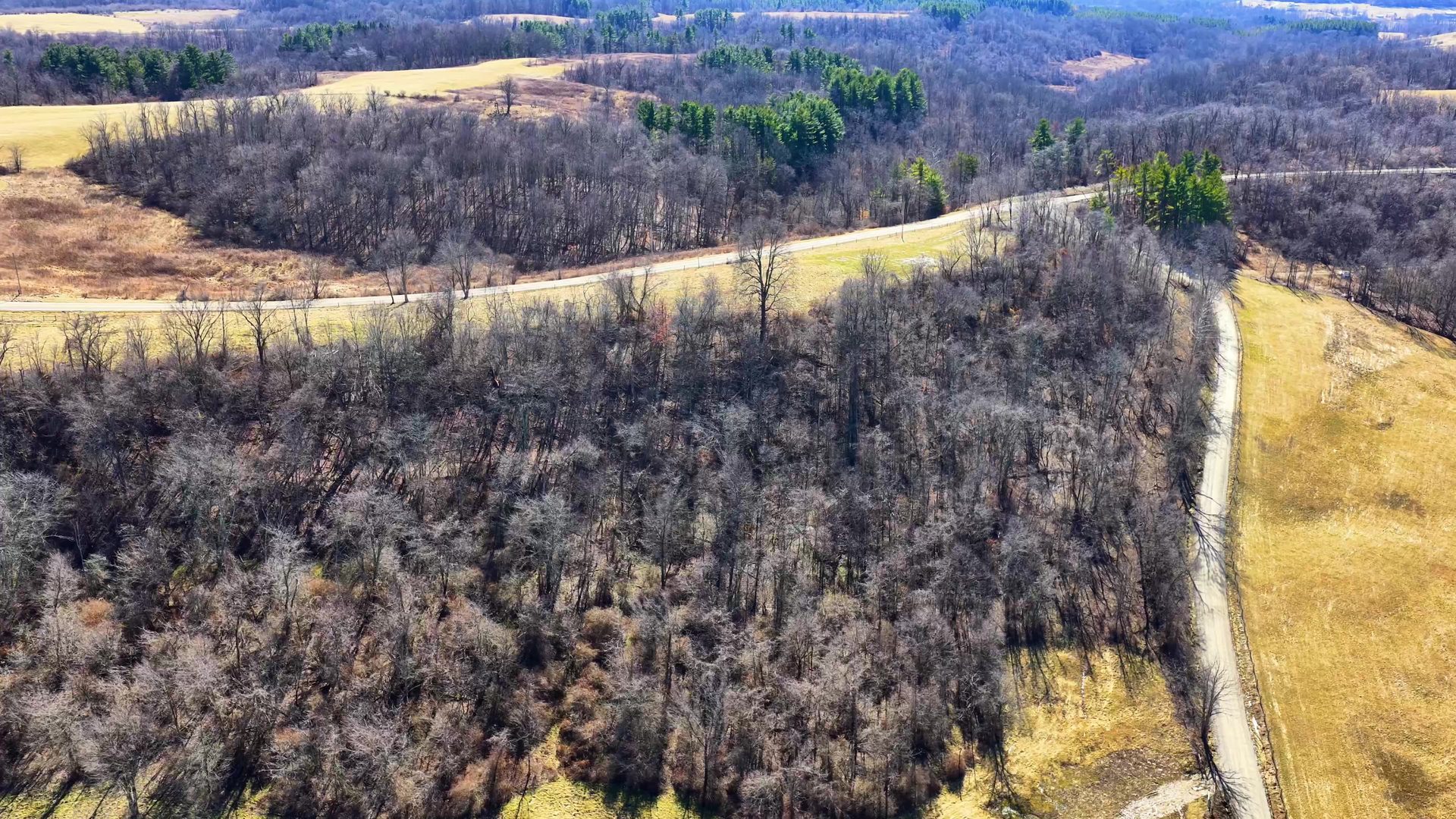 0 SR 376 Tract 4 - 15 Acres in Morgan County, OH - Photo 3