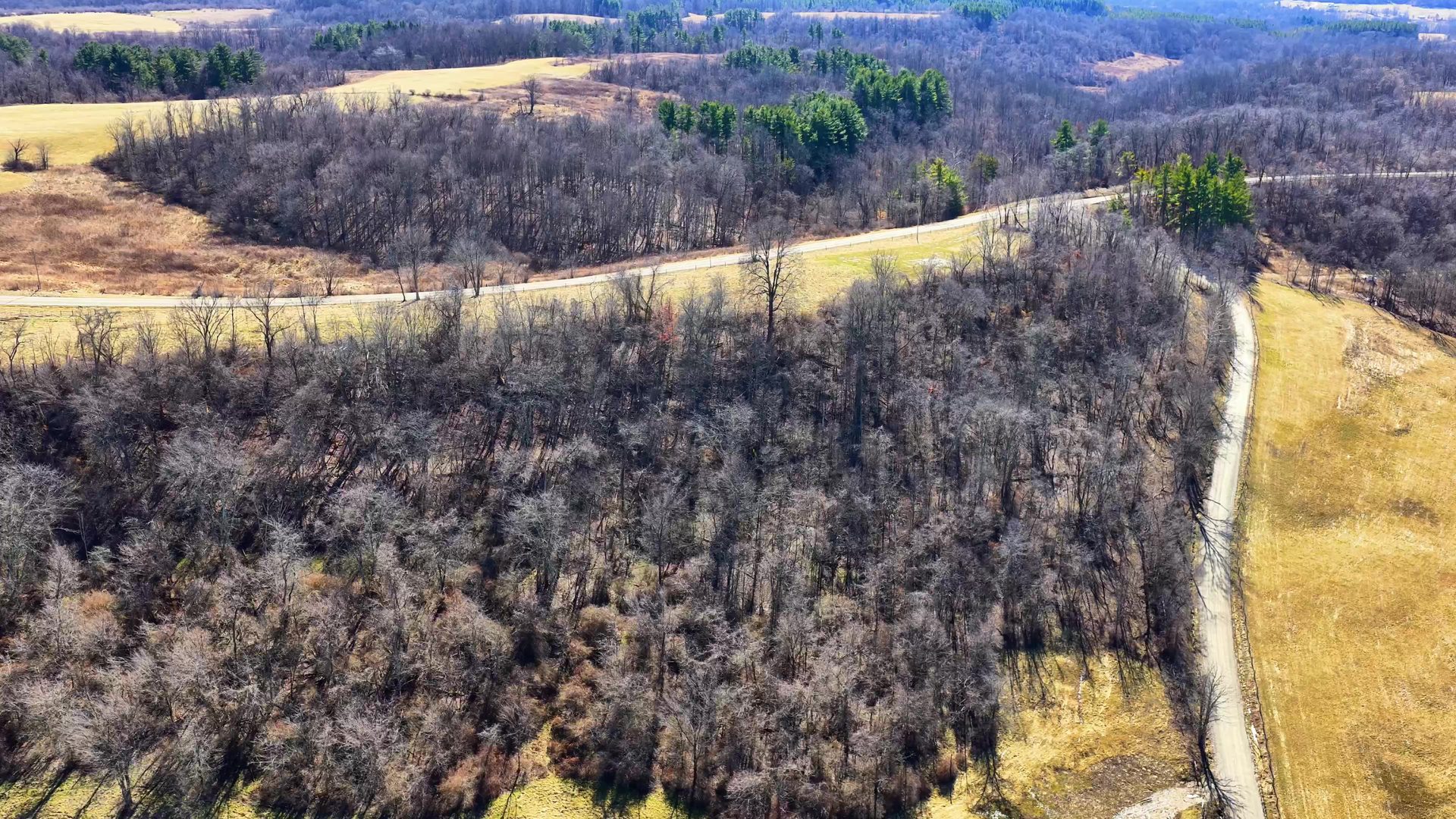 0 SR 376 Tract 4 - 15 Acres in Morgan County, OH - Photo 10