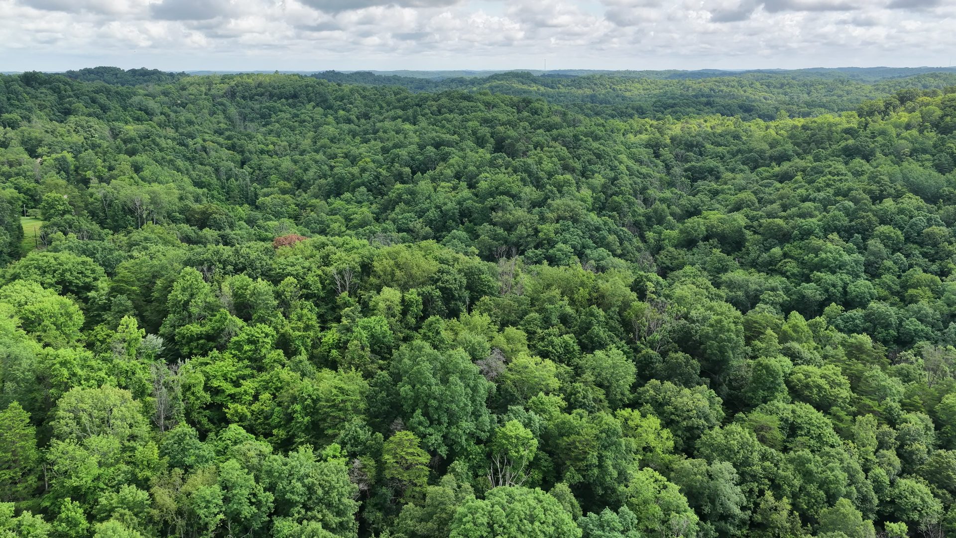 15 Acres with Road Frontage and Creek in Washington County, OH - Shay Ridge Road Tract 2 - Photo 11