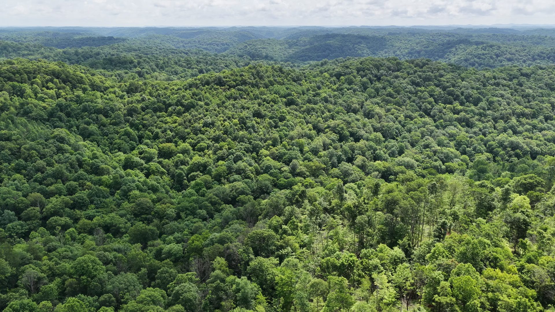 15 Acres with Road Frontage and Creek in Washington County, OH - Shay Ridge Road Tract 2 - Photo 3