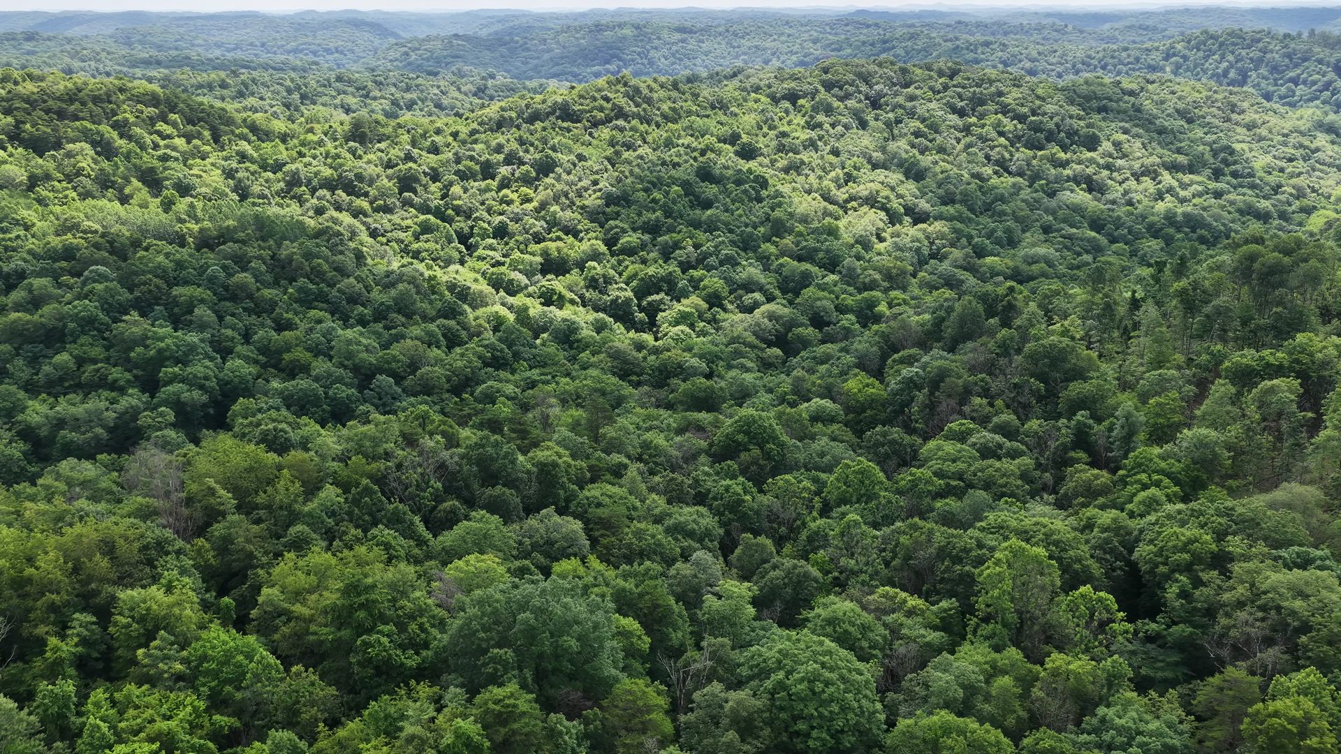 15 Acres with Road Frontage and Creek in Washington County, OH - Shay Ridge Road Tract 2 - Photo 4