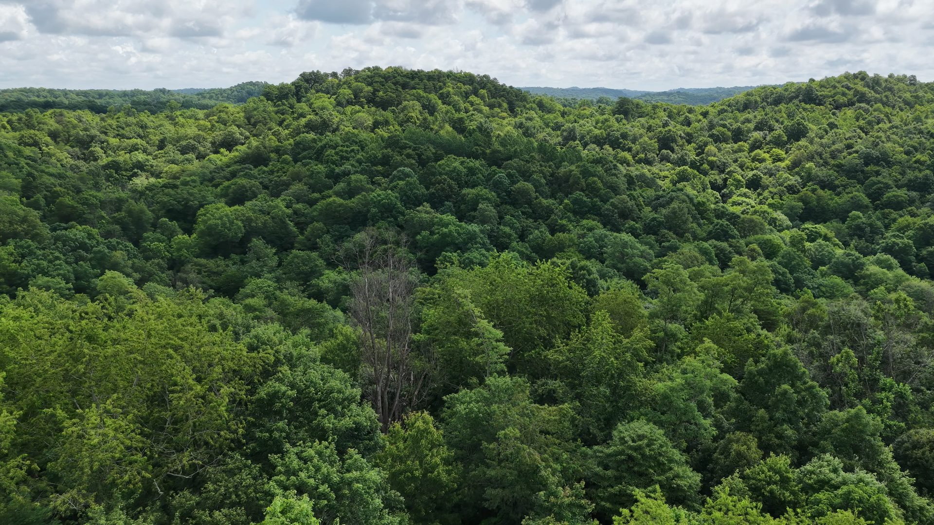 15 Acres with Road Frontage and Creek in Washington County, OH - Shay Ridge Road Tract 2 - Photo 5