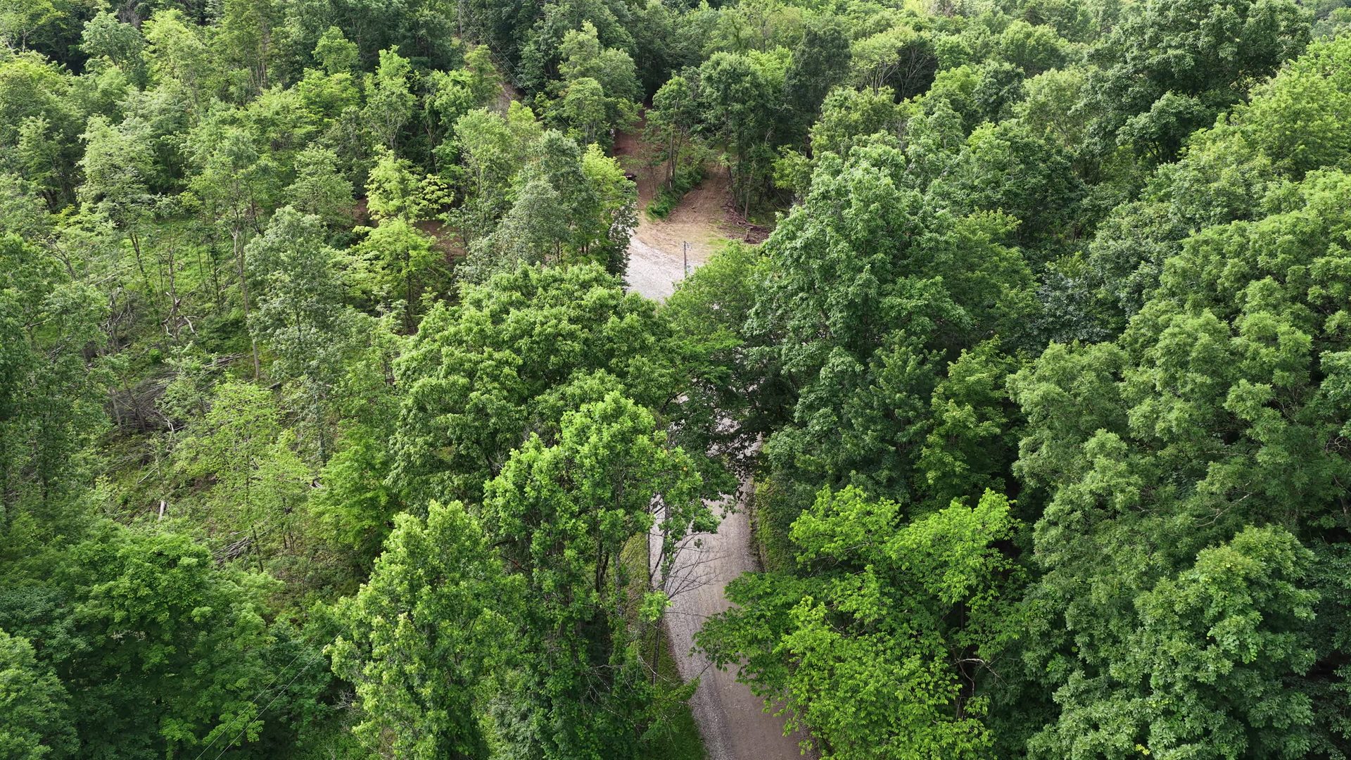 15 Acres with Road Frontage and Creek in Washington County, OH - Shay Ridge Road Tract 2 - Photo 6