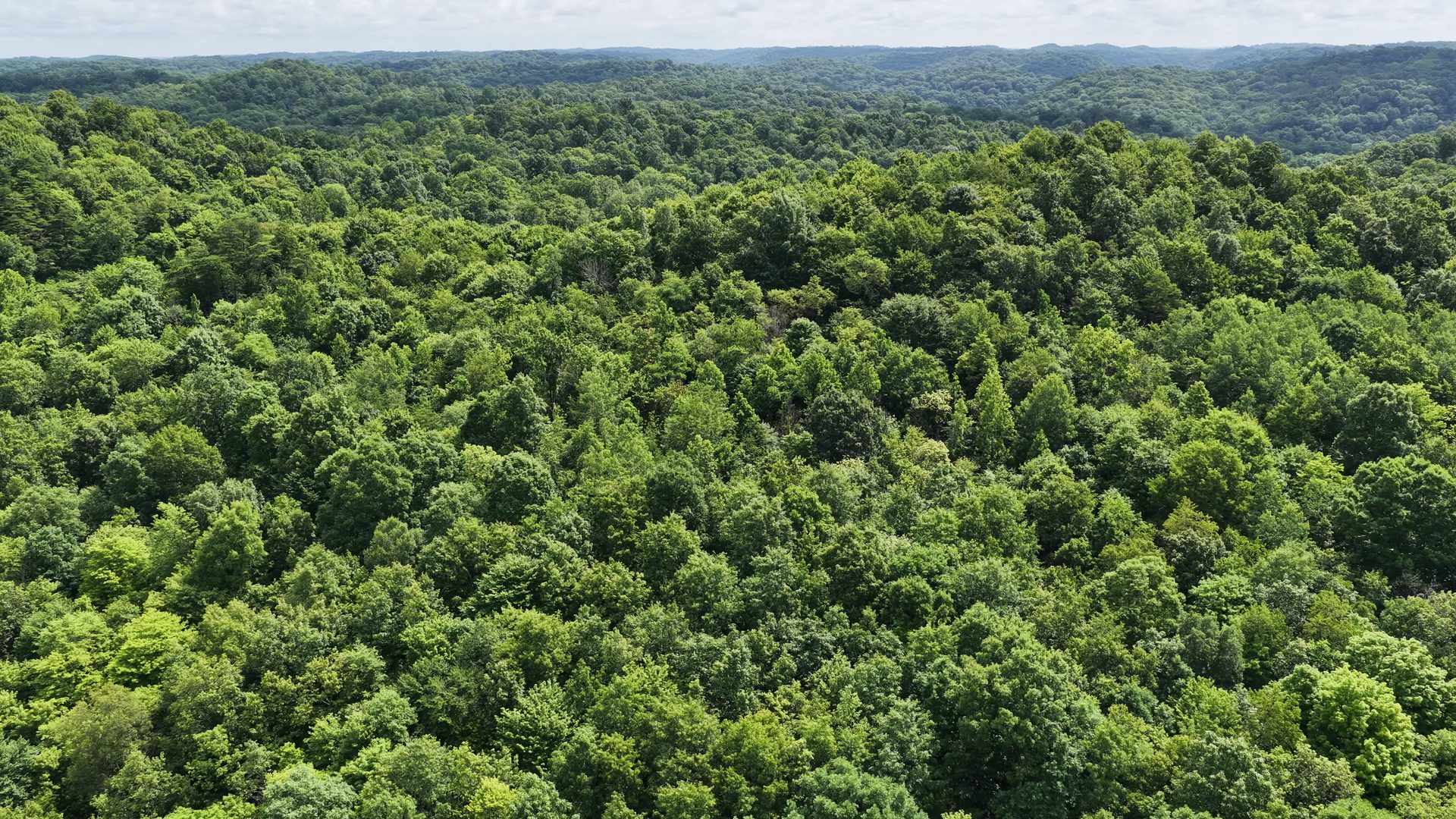 15 Acres with Road Frontage and Creek in Washington County, OH - Shay Ridge Road Tract 2 - Photo 8
