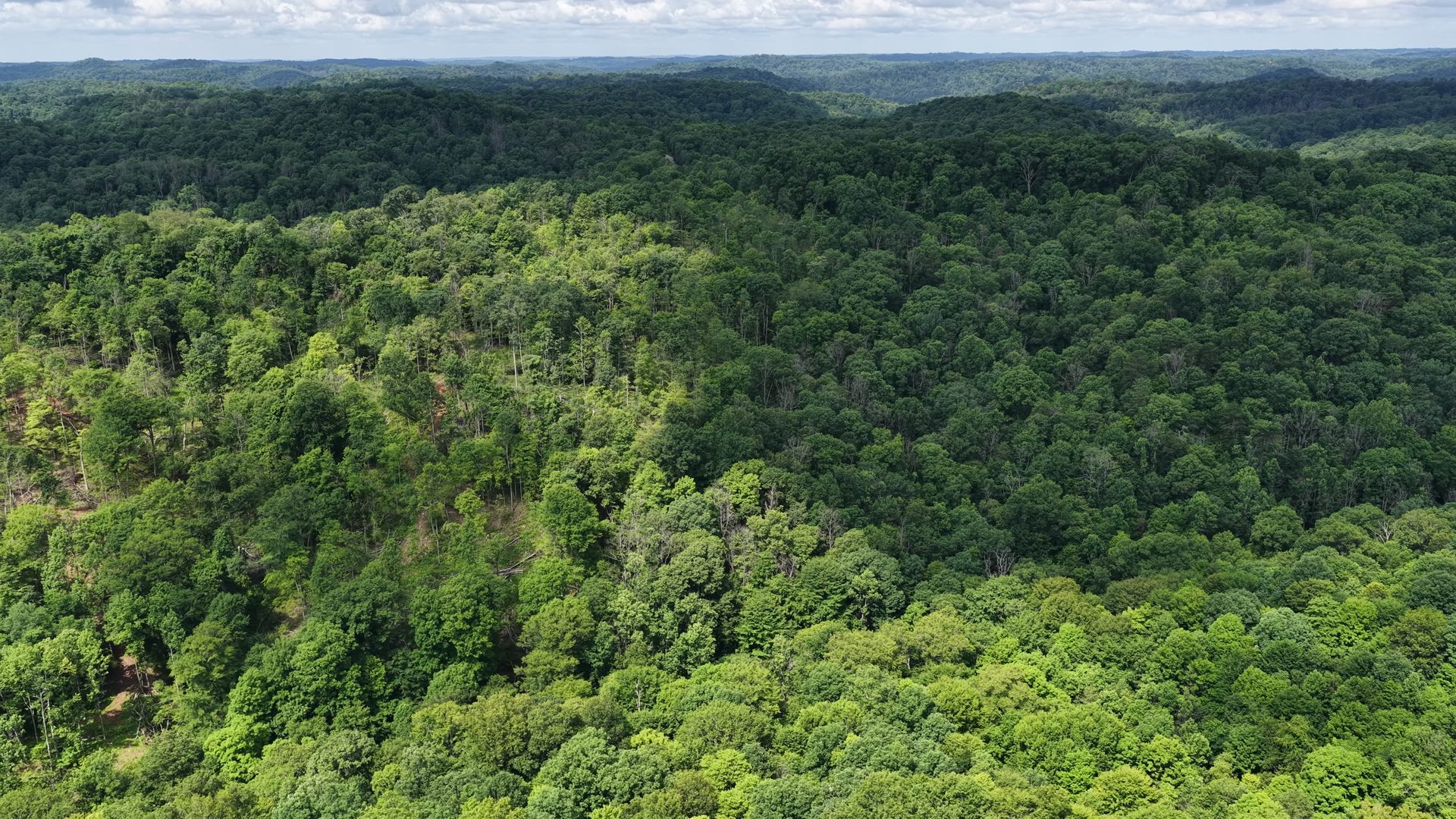 15 Acres with Road Frontage and Creek in Washington County, OH - Shay Ridge Road Tract 2