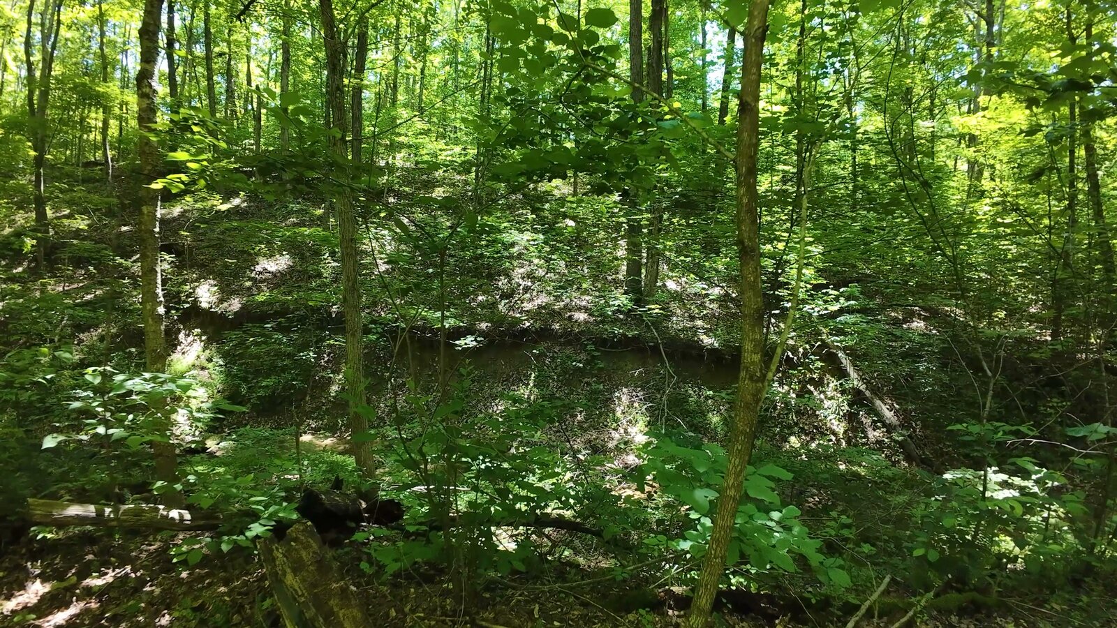 0 Moats Hollow Rd - 153 Acres in Pike County, OH - Photo 11