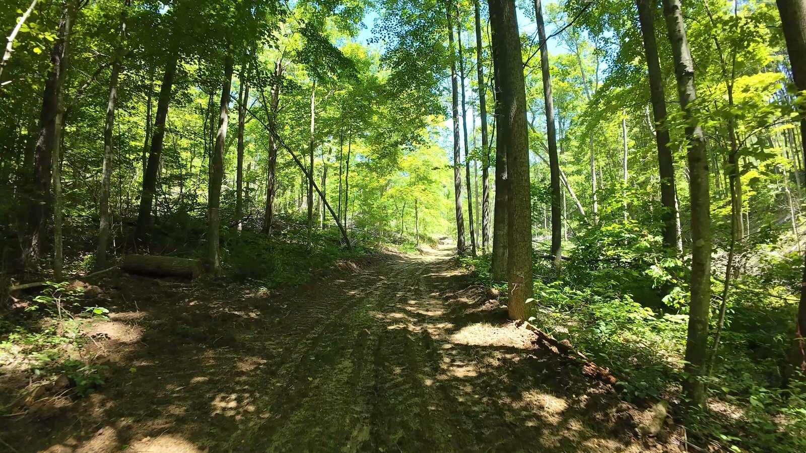 0 Moats Hollow Rd - 153 Acres in Pike County, OH - Photo 12