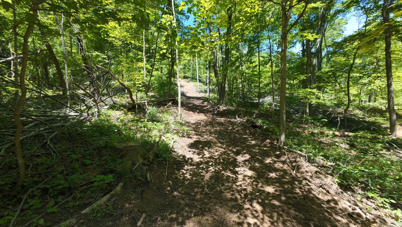 0 Moats Hollow Rd - 153 Acres in Pike County, OH - Photo 13