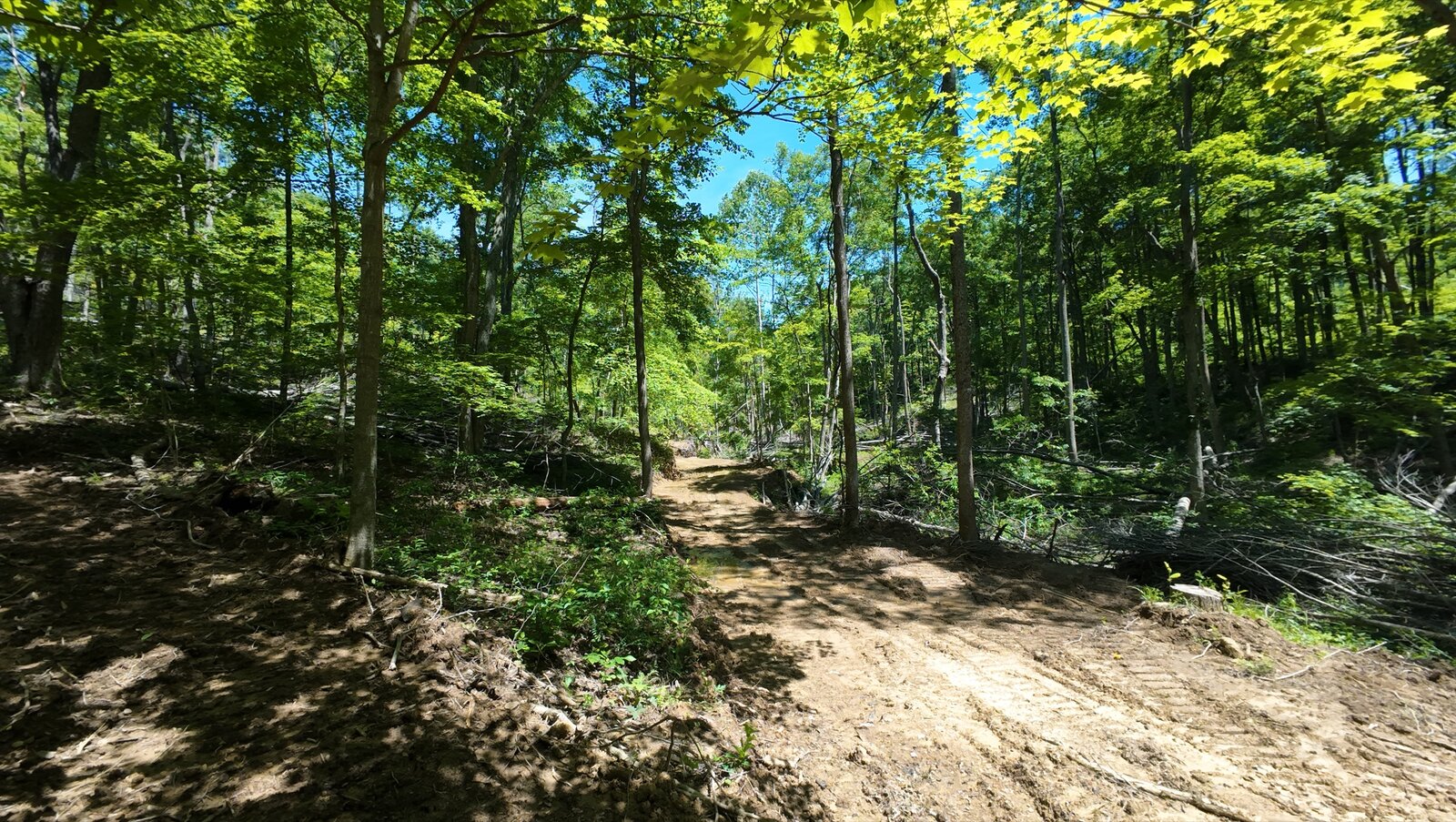 0 Moats Hollow Rd - 153 Acres in Pike County, OH - Photo 14