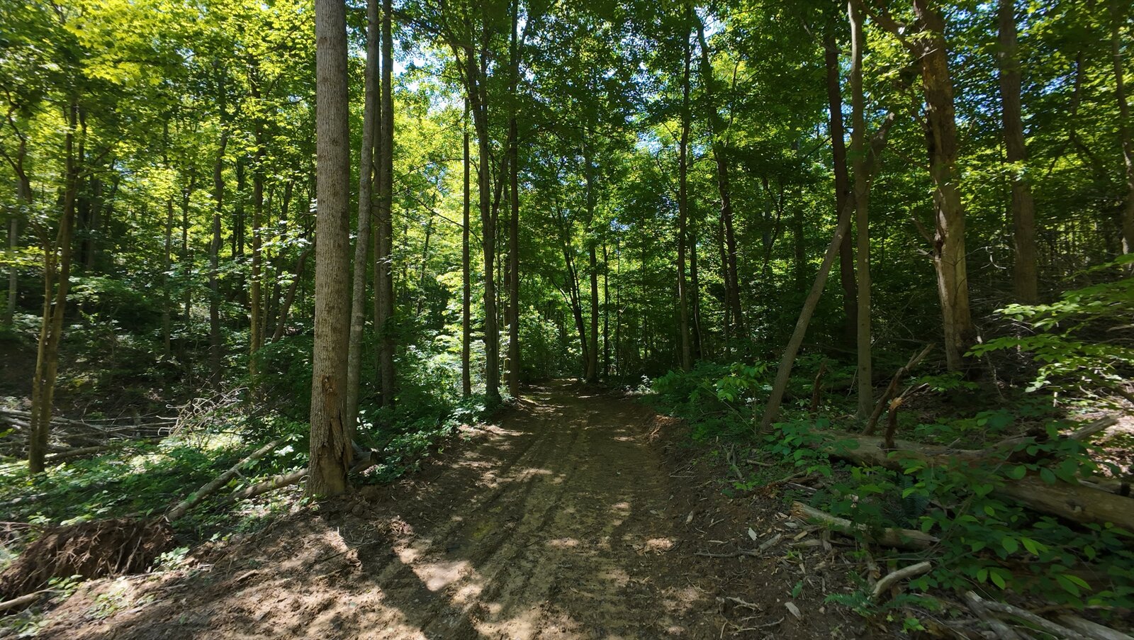 0 Moats Hollow Rd - 153 Acres in Pike County, OH - Photo 15