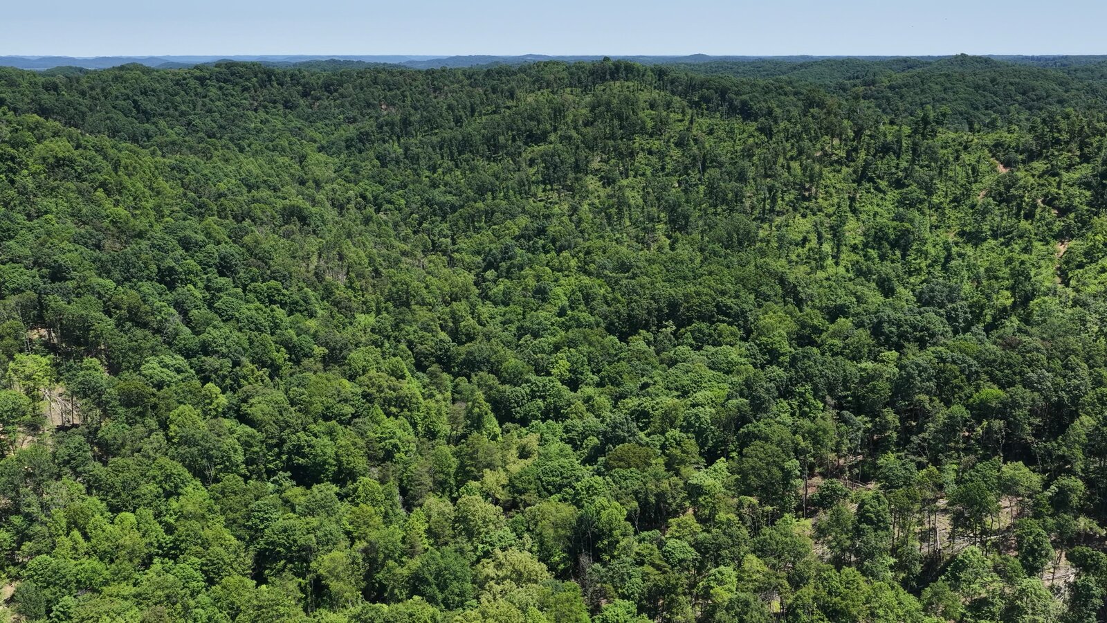 0 Moats Hollow Rd - 153 Acres in Pike County, OH - Photo 19