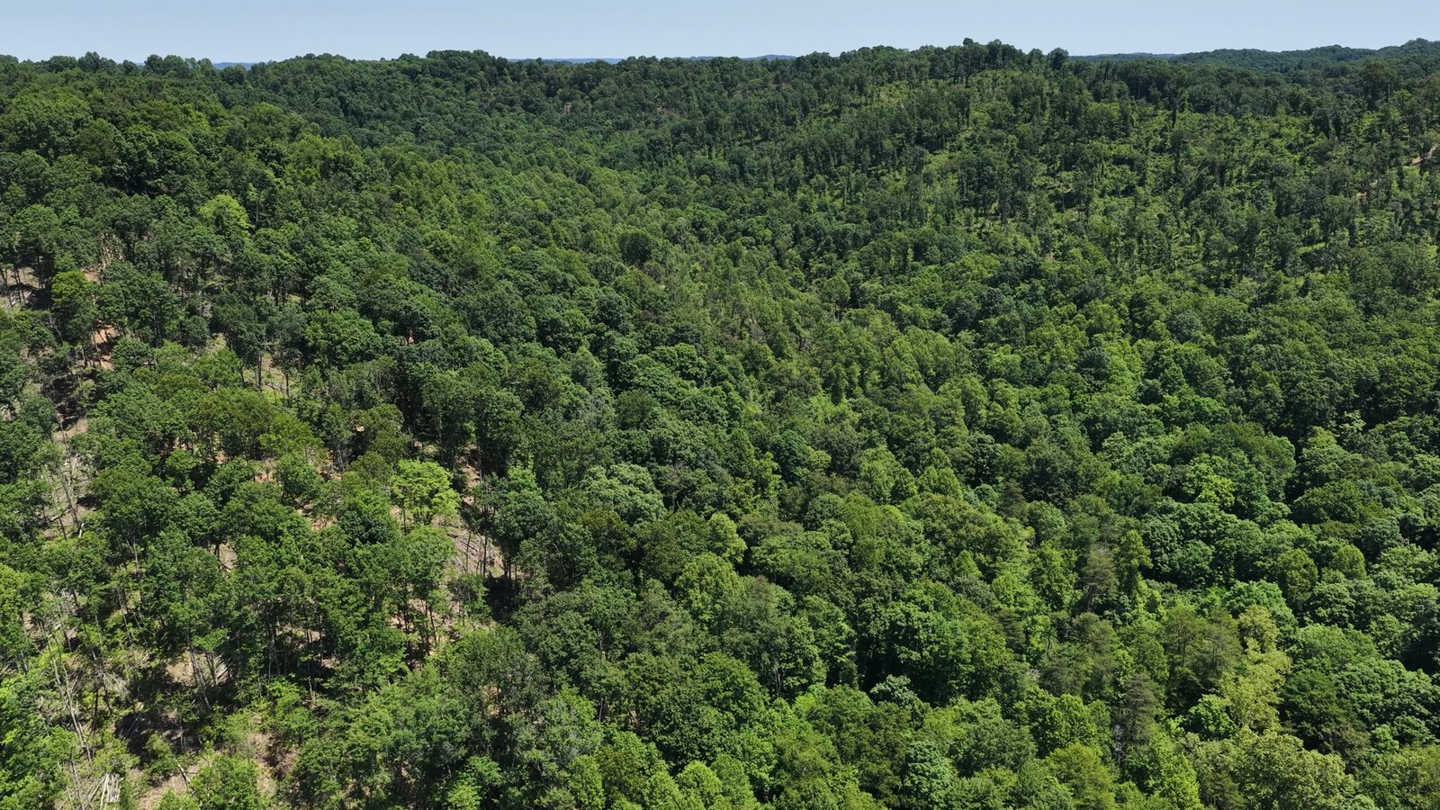 0 Moats Hollow Rd - 153 Acres in Pike County, OH - Photo 20