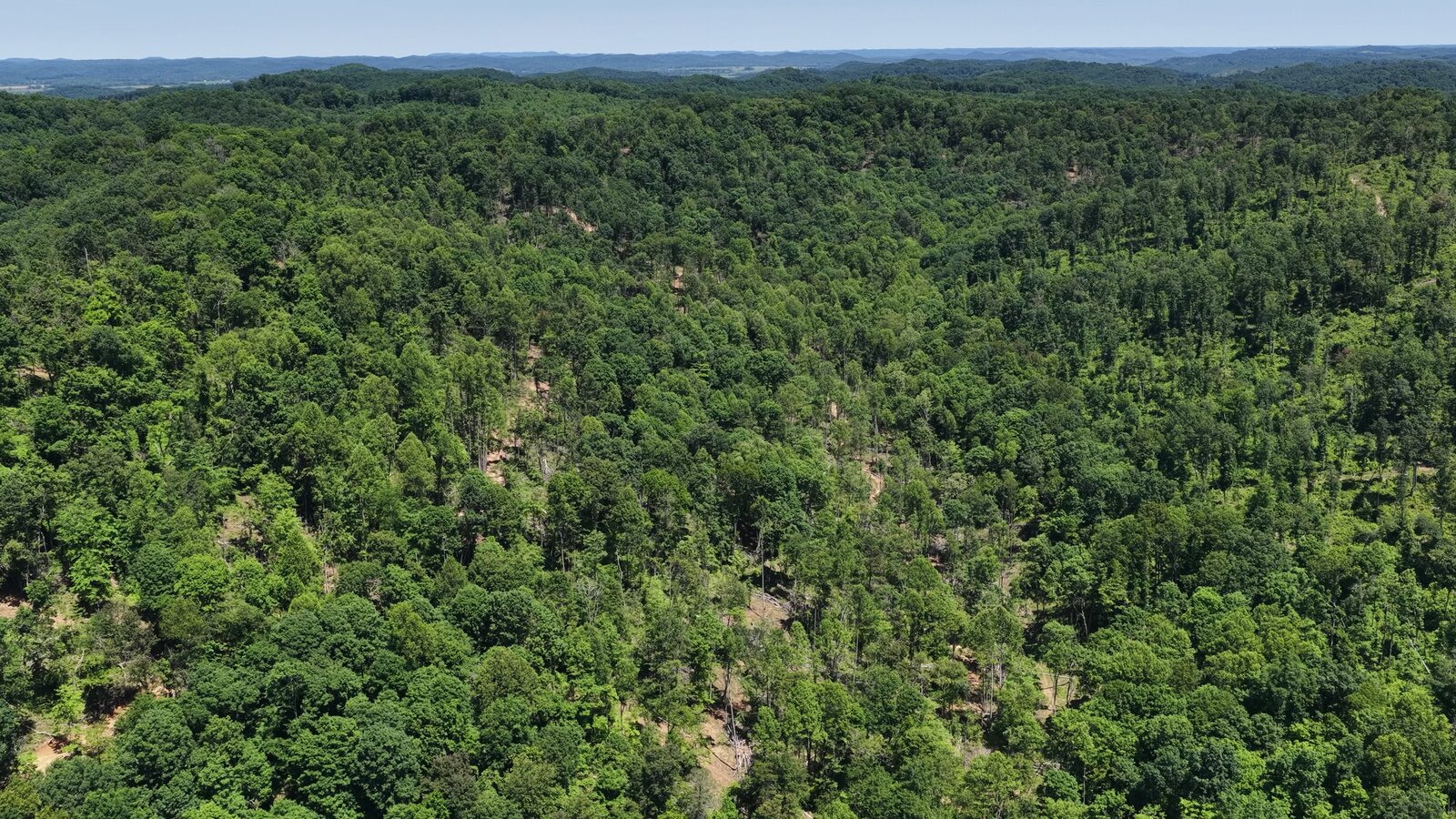 0 Moats Hollow Rd - 153 Acres in Pike County, OH - Photo 21