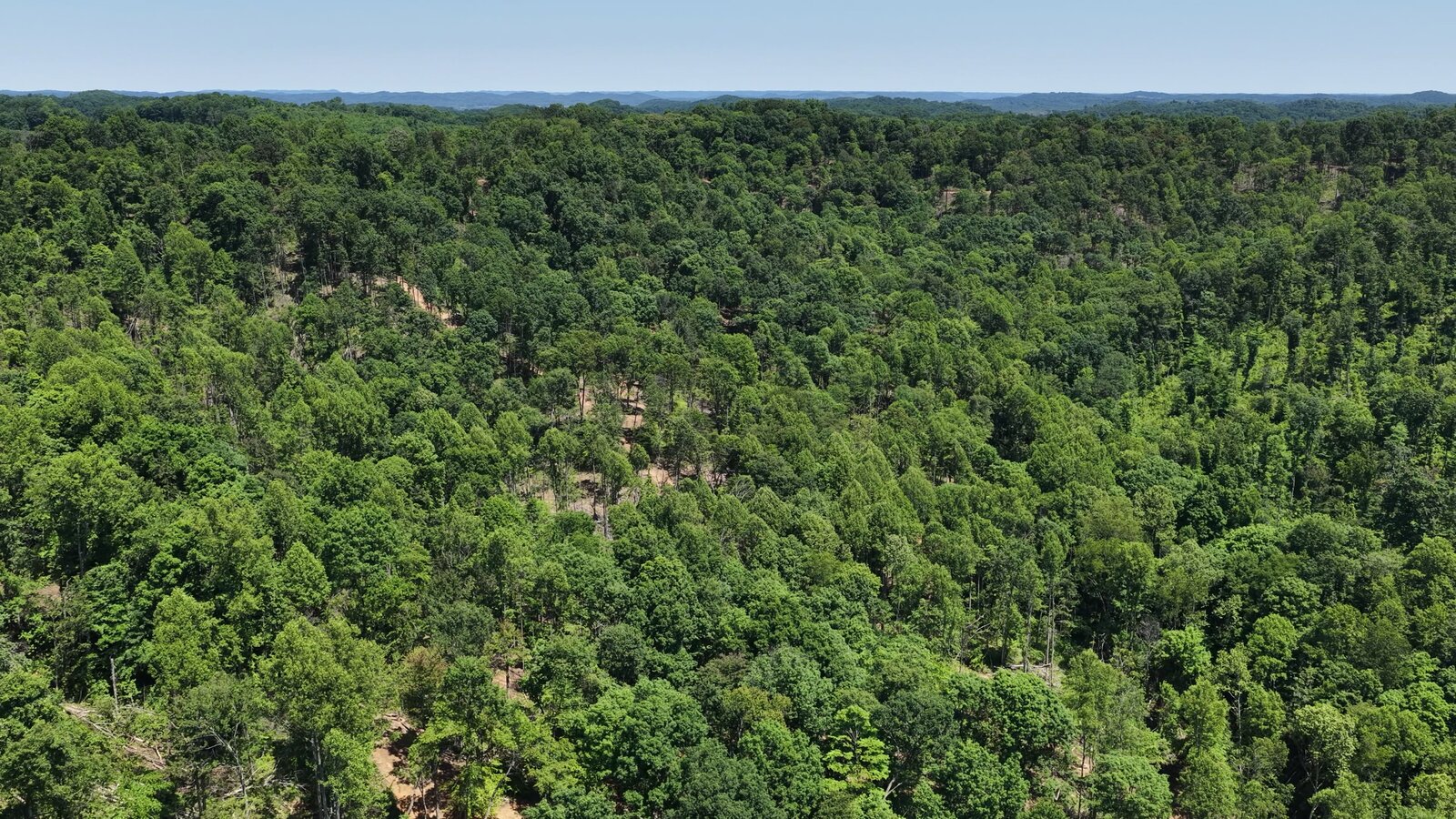 0 Moats Hollow Rd - 153 Acres in Pike County, OH - Photo 22