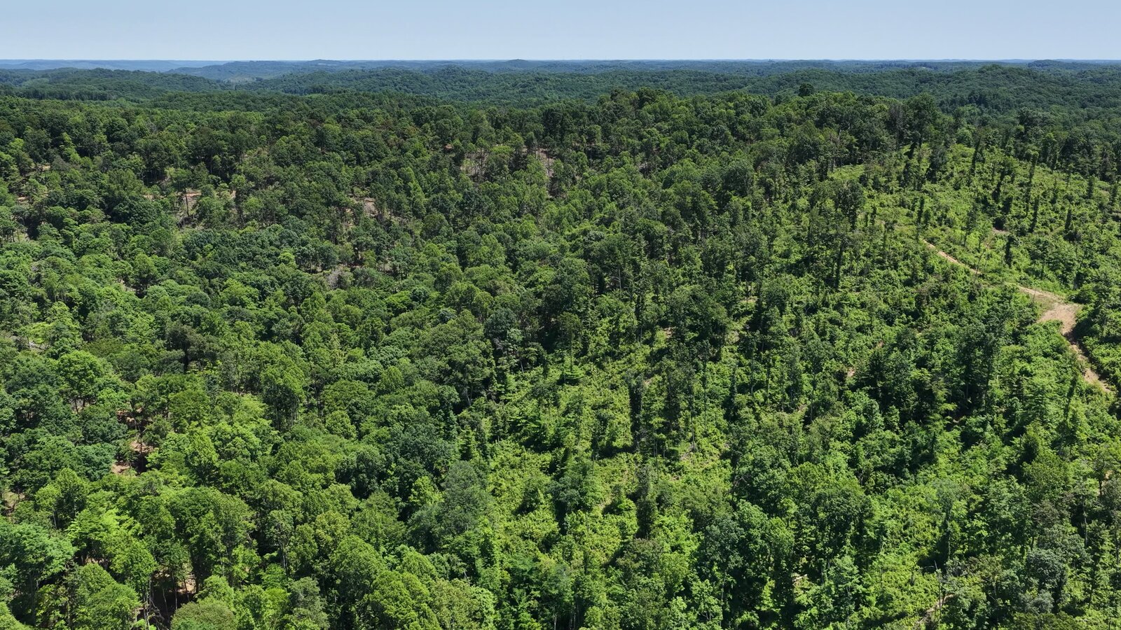 0 Moats Hollow Rd - 153 Acres in Pike County, OH - Photo 23