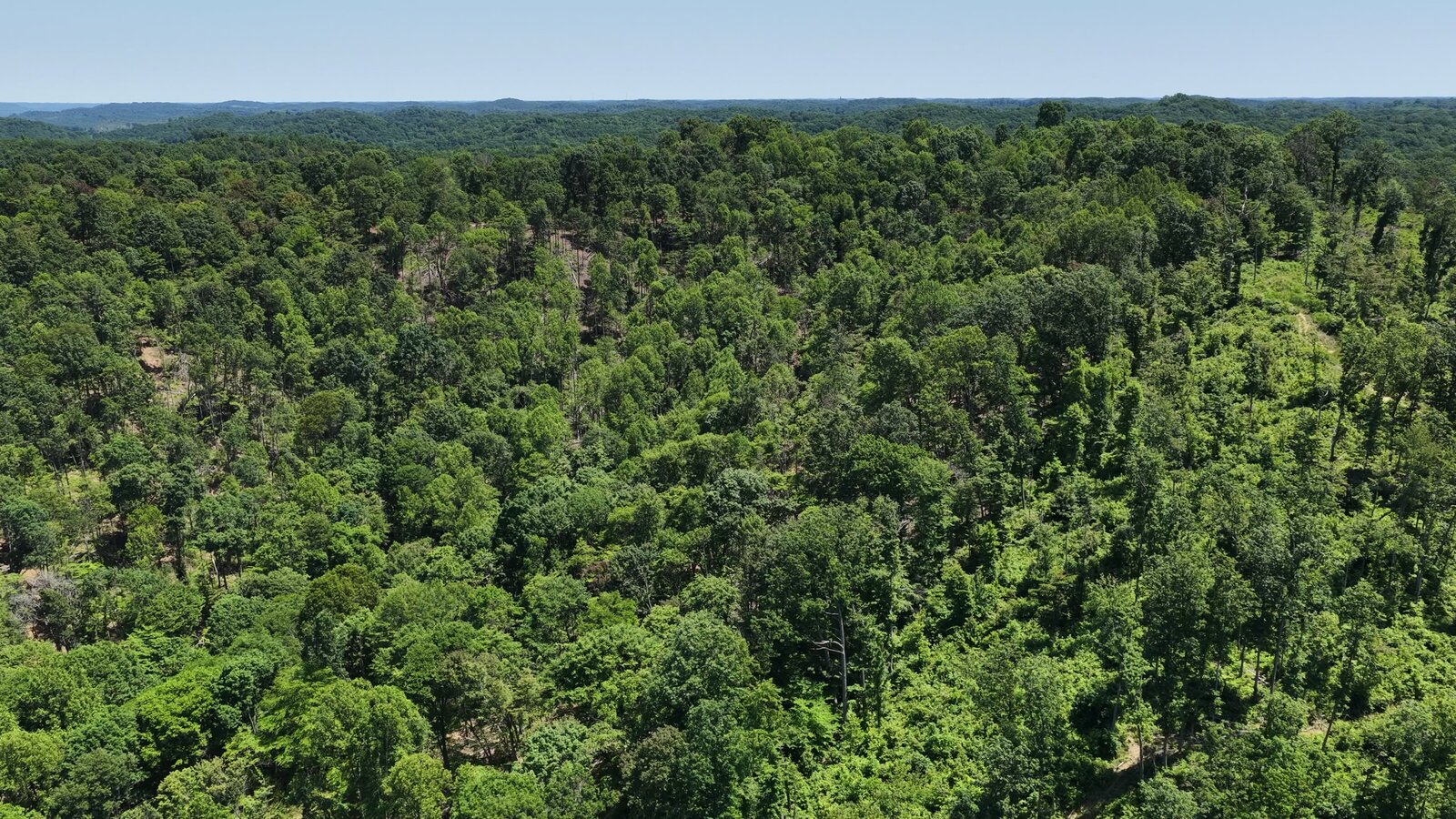 0 Moats Hollow Rd - 153 Acres in Pike County, OH - Photo 24