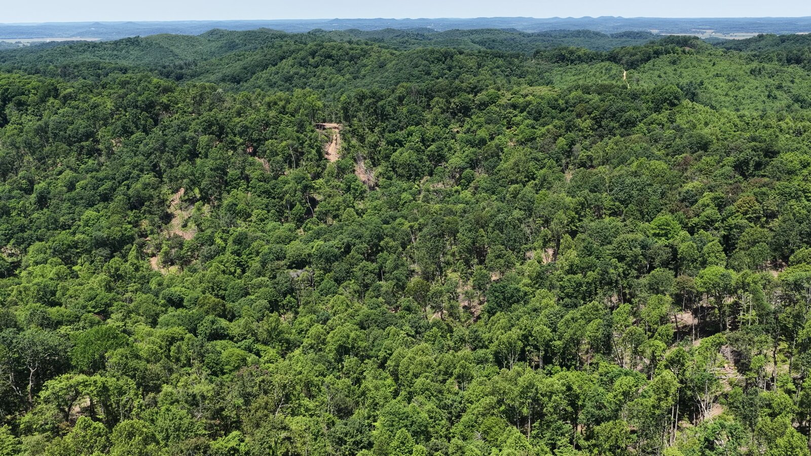 0 Moats Hollow Rd - 153 Acres in Pike County, OH - Photo 25