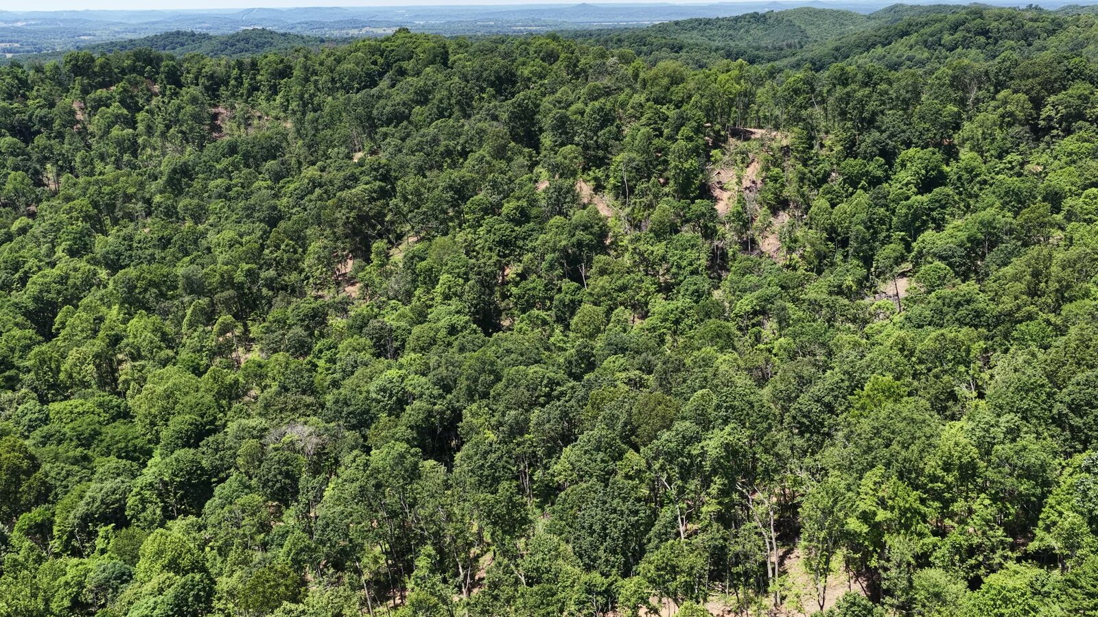 0 Moats Hollow Rd - 153 Acres in Pike County, OH - Photo 26