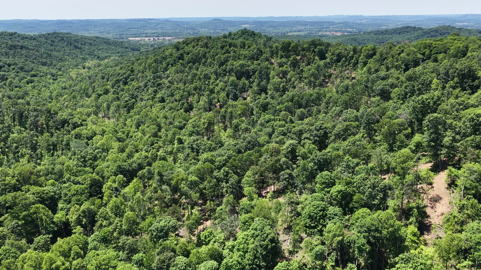 0 Moats Hollow Rd - 153 Acres in Pike County, OH - Photo 27