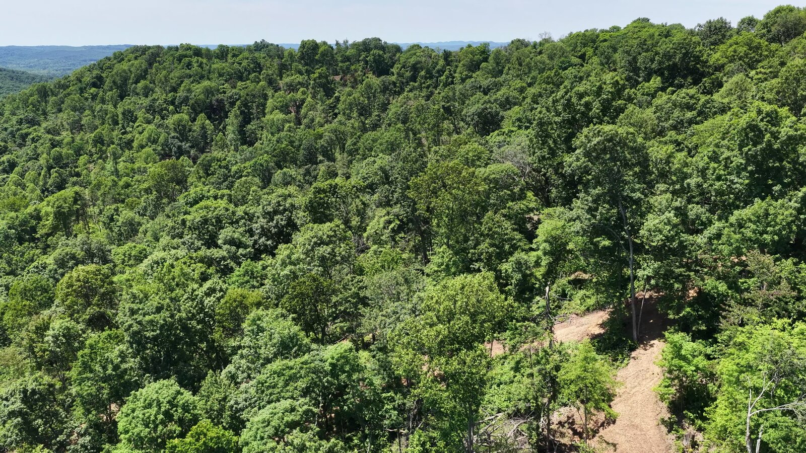 0 Moats Hollow Rd - 153 Acres in Pike County, OH - Photo 28