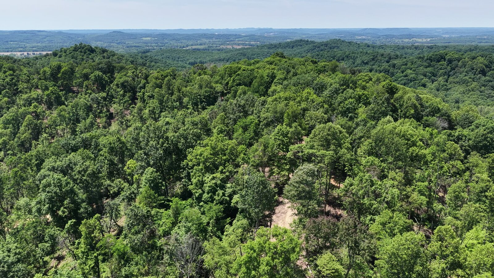 0 Moats Hollow Rd - 153 Acres in Pike County, OH - Photo 29