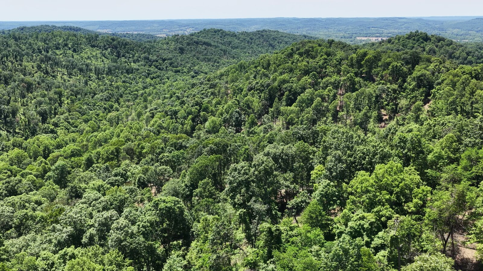 0 Moats Hollow Rd - 153 Acres in Pike County, OH - Photo 30