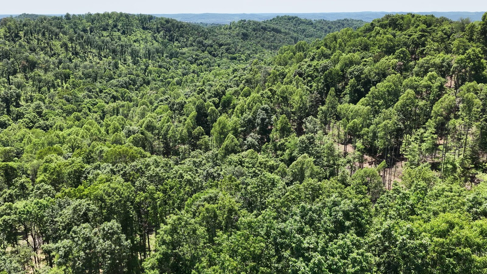 0 Moats Hollow Rd - 153 Acres in Pike County, OH - Photo 31