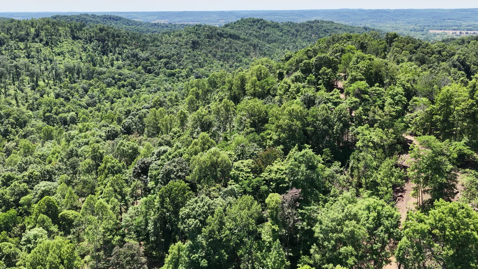 0 Moats Hollow Rd - 153 Acres in Pike County, OH - Photo 32