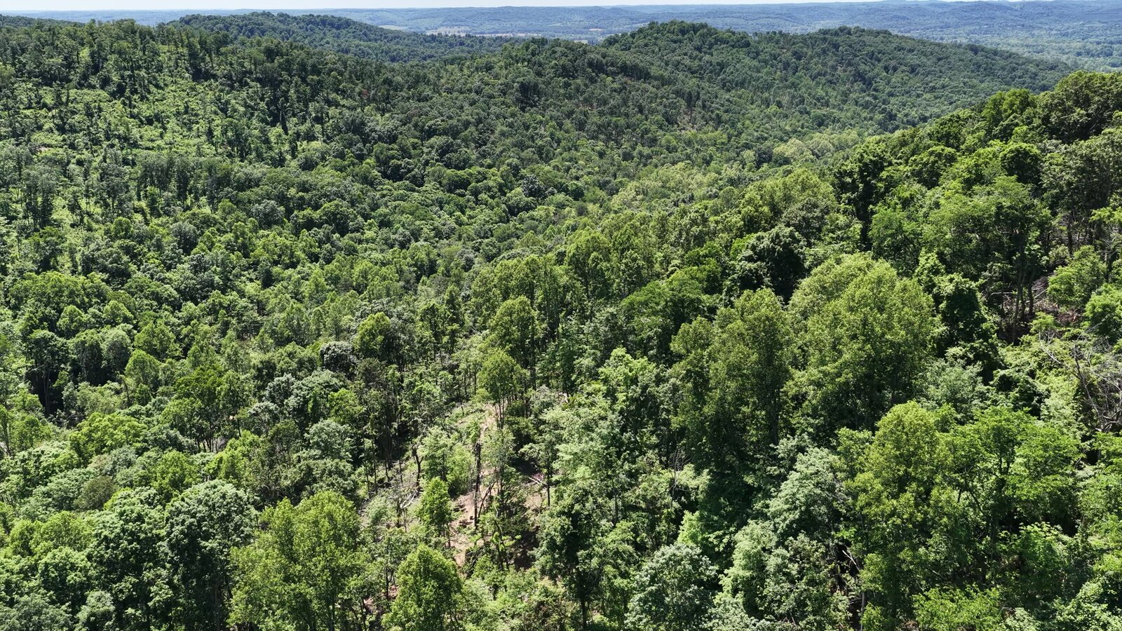 0 Moats Hollow Rd - 153 Acres in Pike County, OH - Photo 33