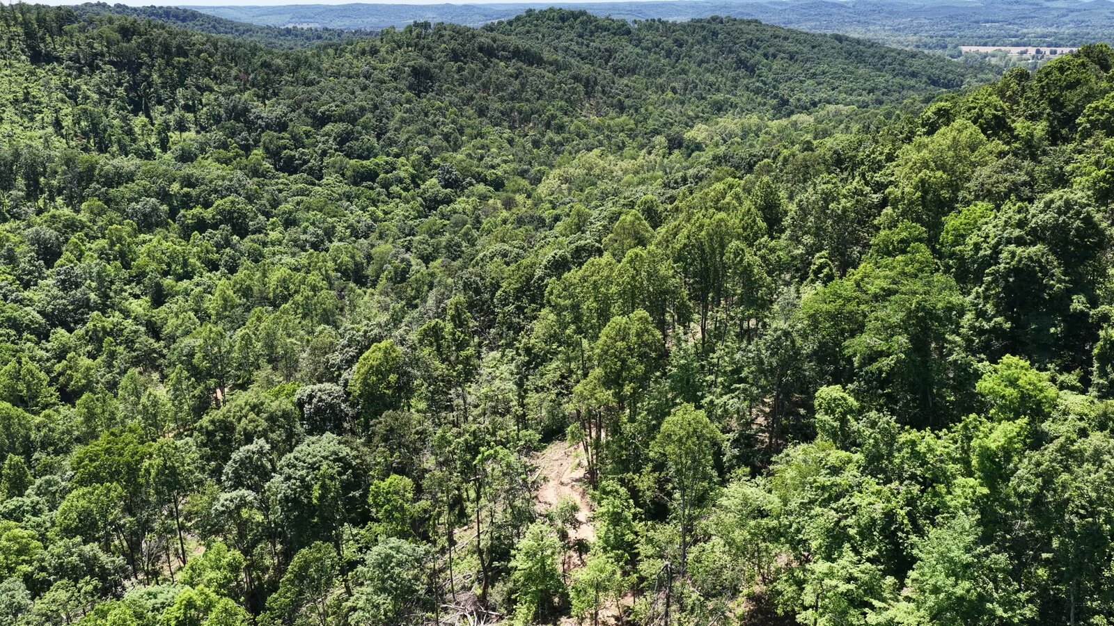 0 Moats Hollow Rd - 153 Acres in Pike County, OH - Photo 34