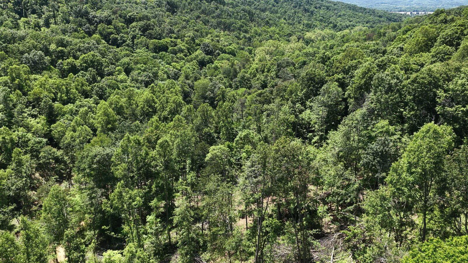 0 Moats Hollow Rd - 153 Acres in Pike County, OH - Photo 35