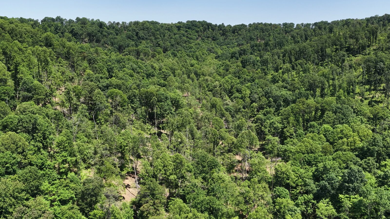 0 Moats Hollow Rd - 153 Acres in Pike County, OH - Photo 37