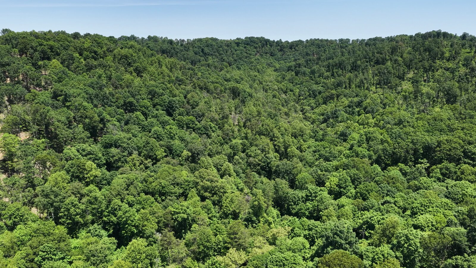 0 Moats Hollow Rd - 153 Acres in Pike County, OH - Photo 38