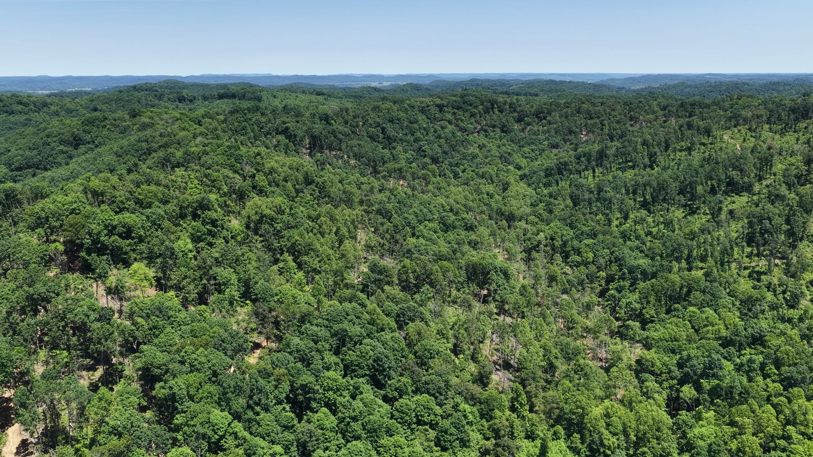 0 Moats Hollow Rd - 153 Acres in Pike County, OH - Photo 39