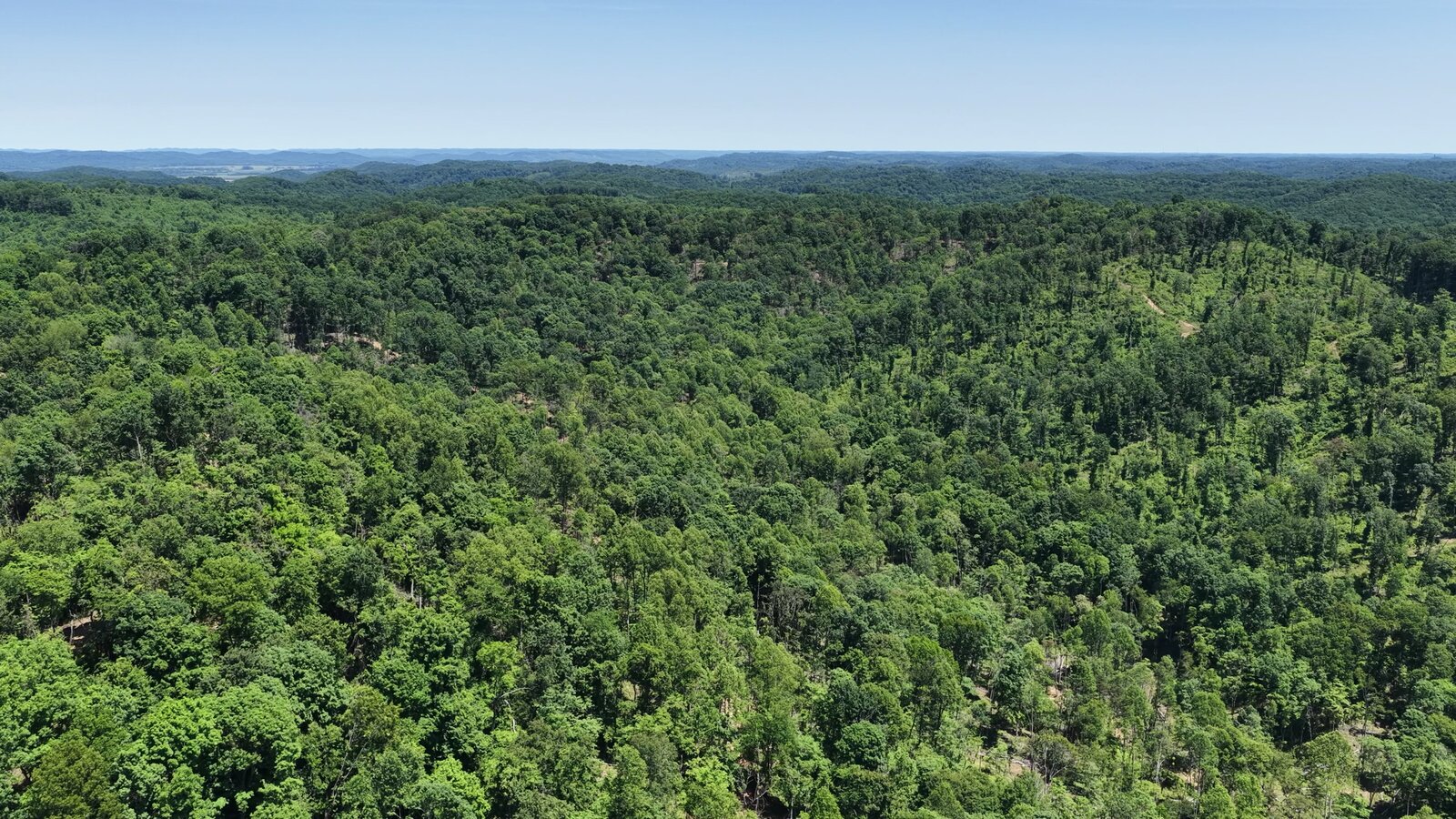 0 Moats Hollow Rd - 153 Acres in Pike County, OH - Photo 40