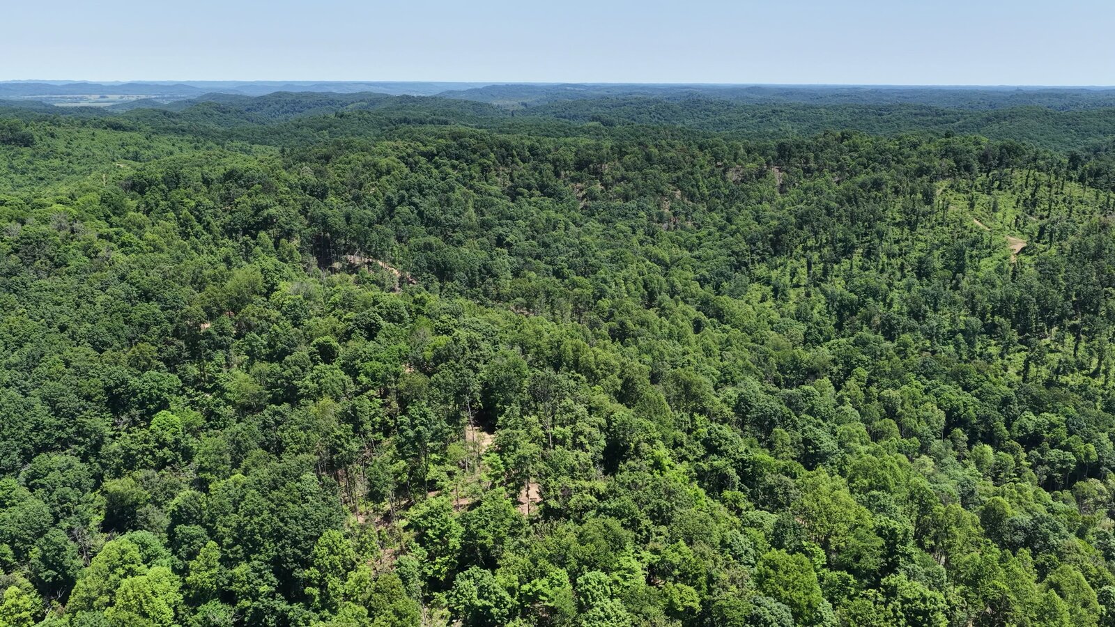 0 Moats Hollow Rd - 153 Acres in Pike County, OH - Photo 41