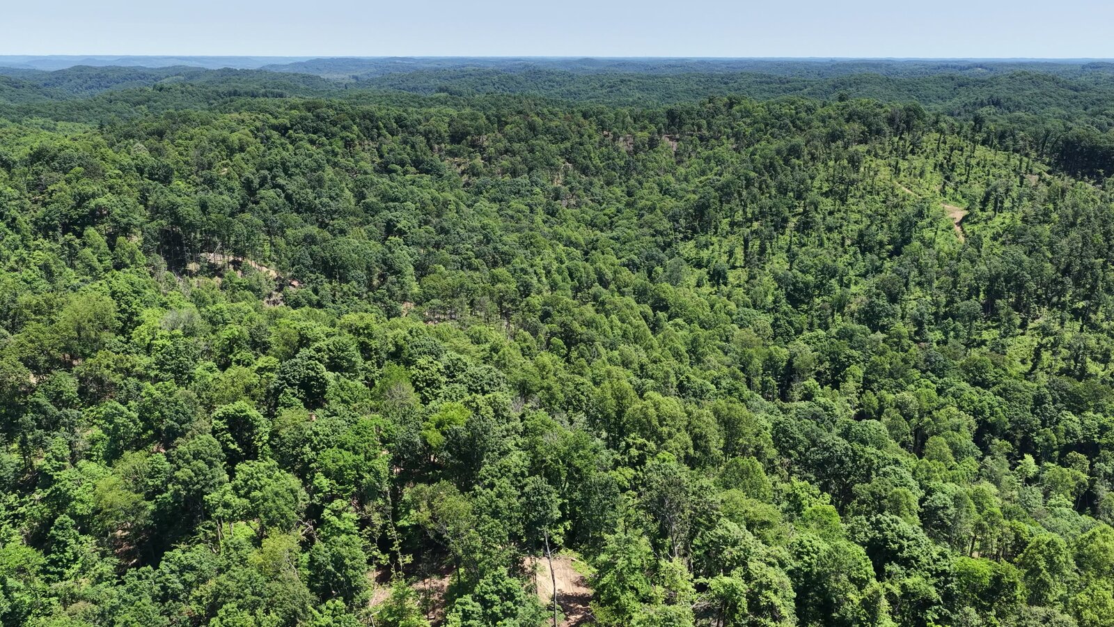 0 Moats Hollow Rd - 153 Acres in Pike County, OH - Photo 42