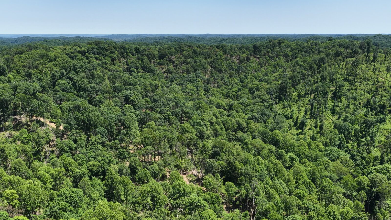 0 Moats Hollow Rd - 153 Acres in Pike County, OH - Photo 43