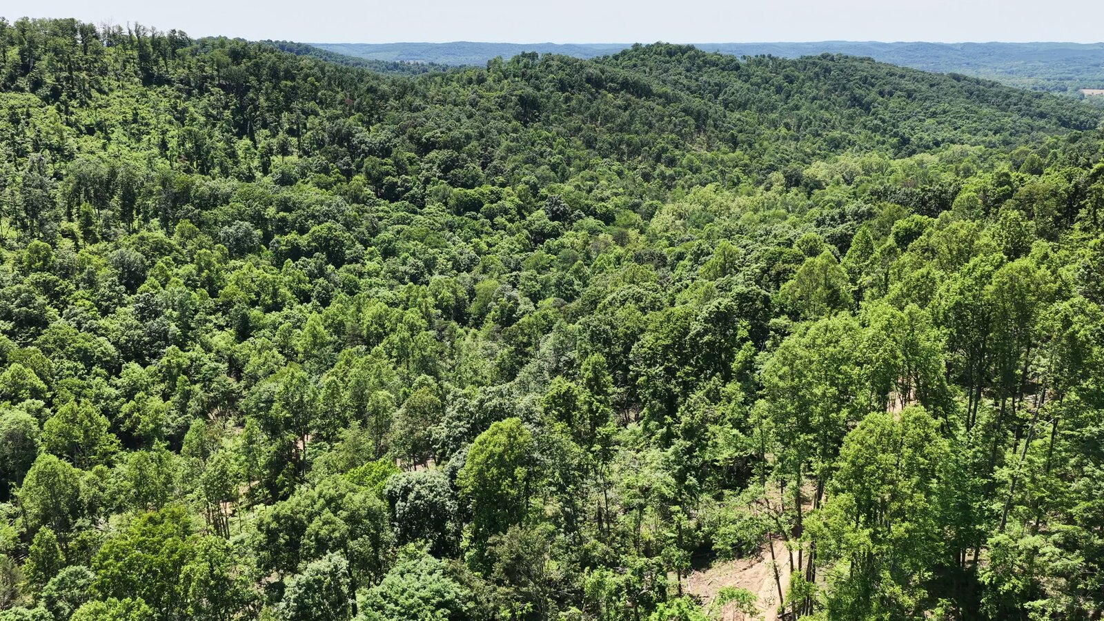 0 Moats Hollow Rd - 153 Acres in Pike County, OH - Photo 44