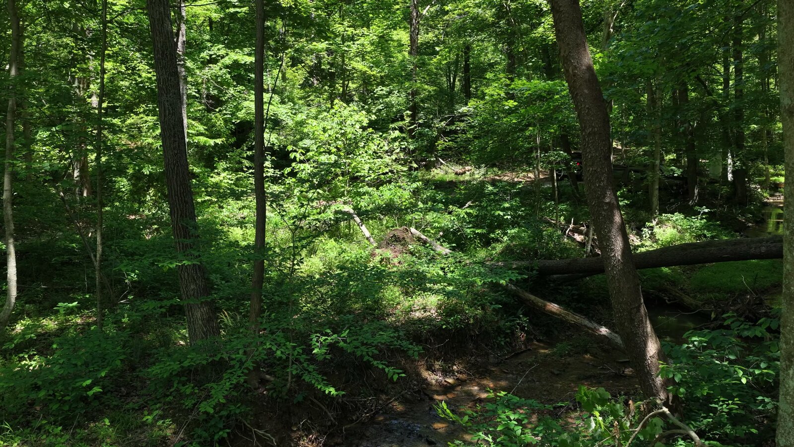 0 Moats Hollow Rd - 153 Acres in Pike County, OH - Photo 45