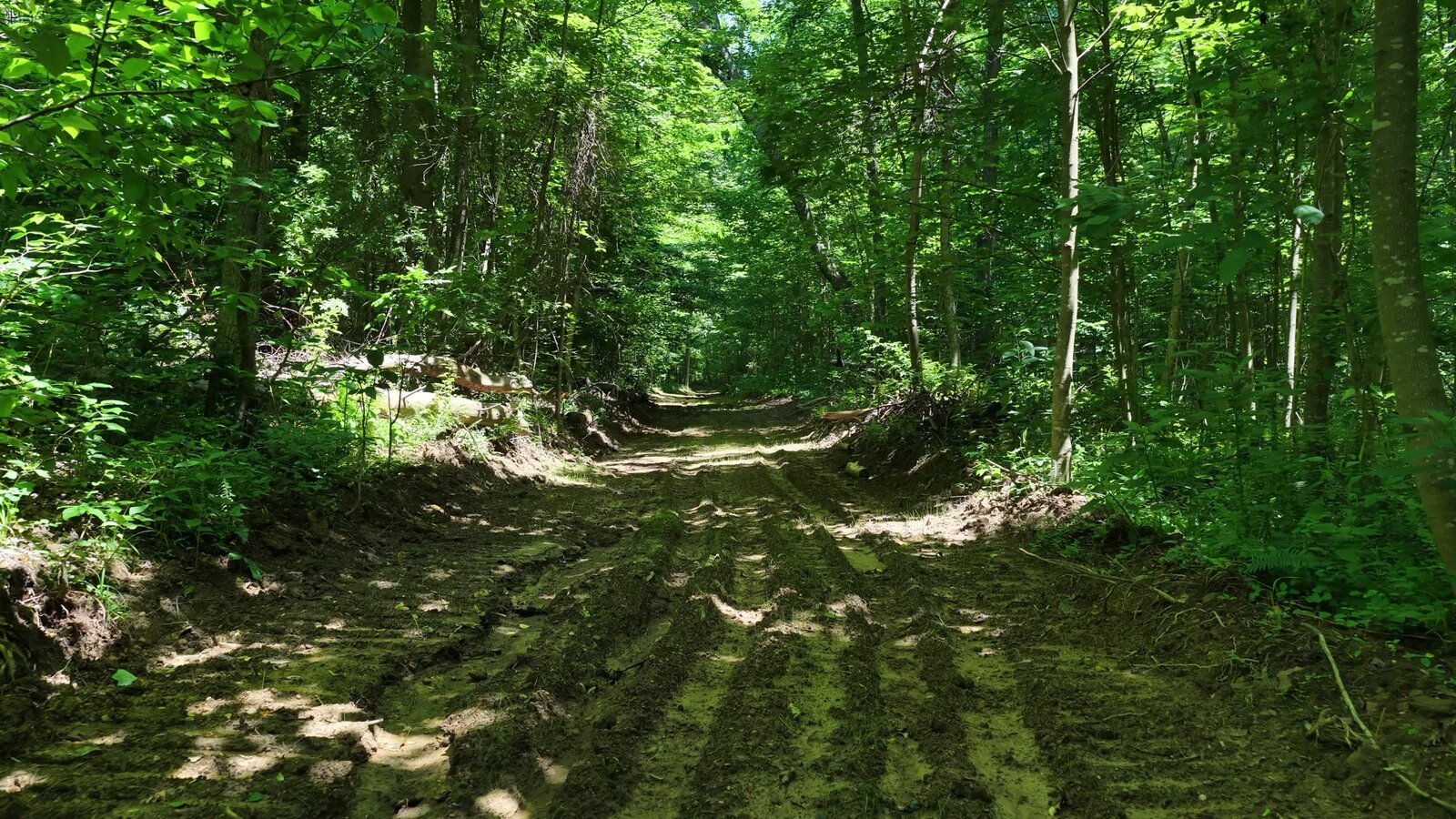 0 Moats Hollow Rd - 153 Acres in Pike County, OH - Photo 46
