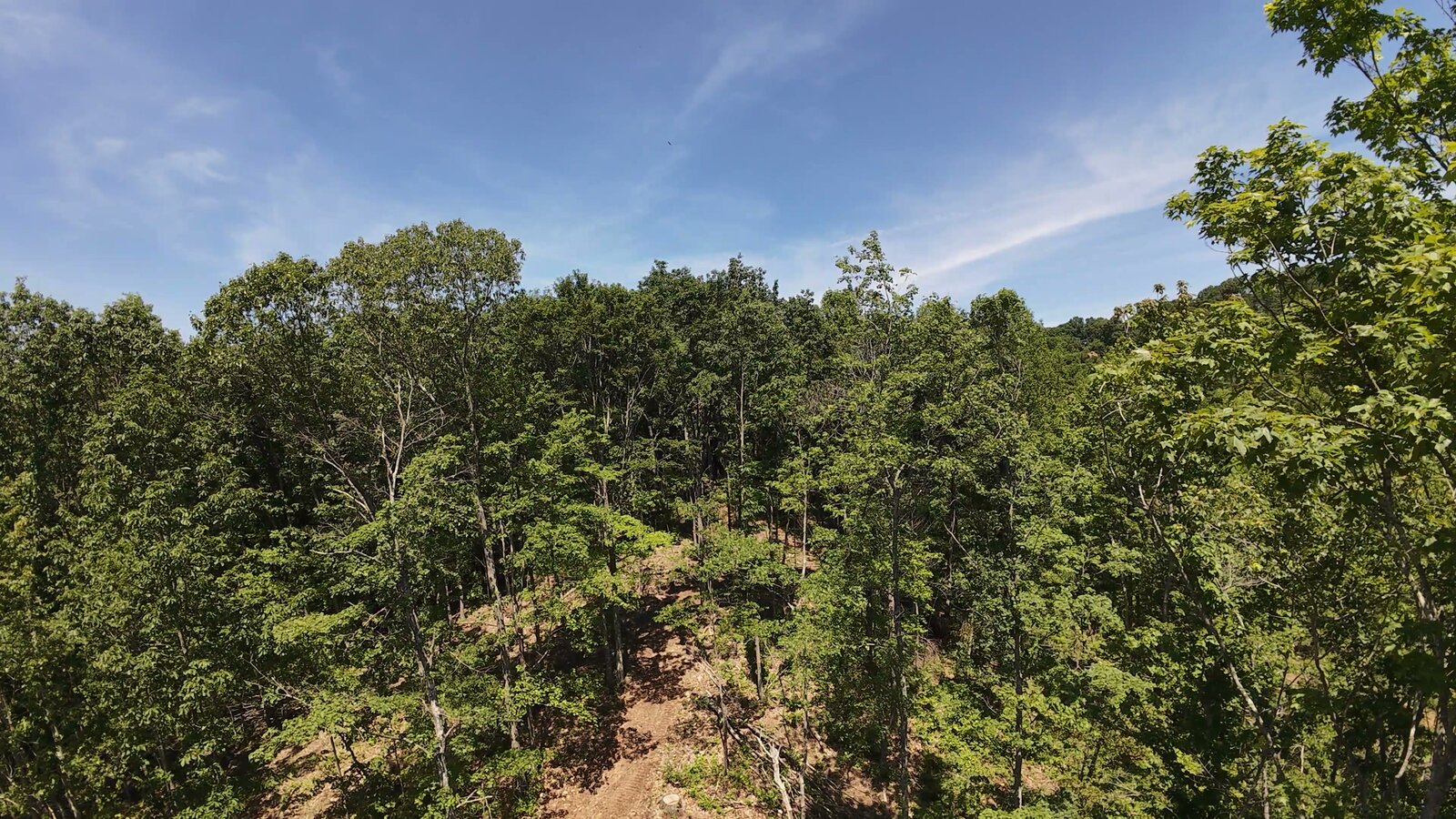 0 Moats Hollow Rd - 153 Acres in Pike County, OH - Photo 7