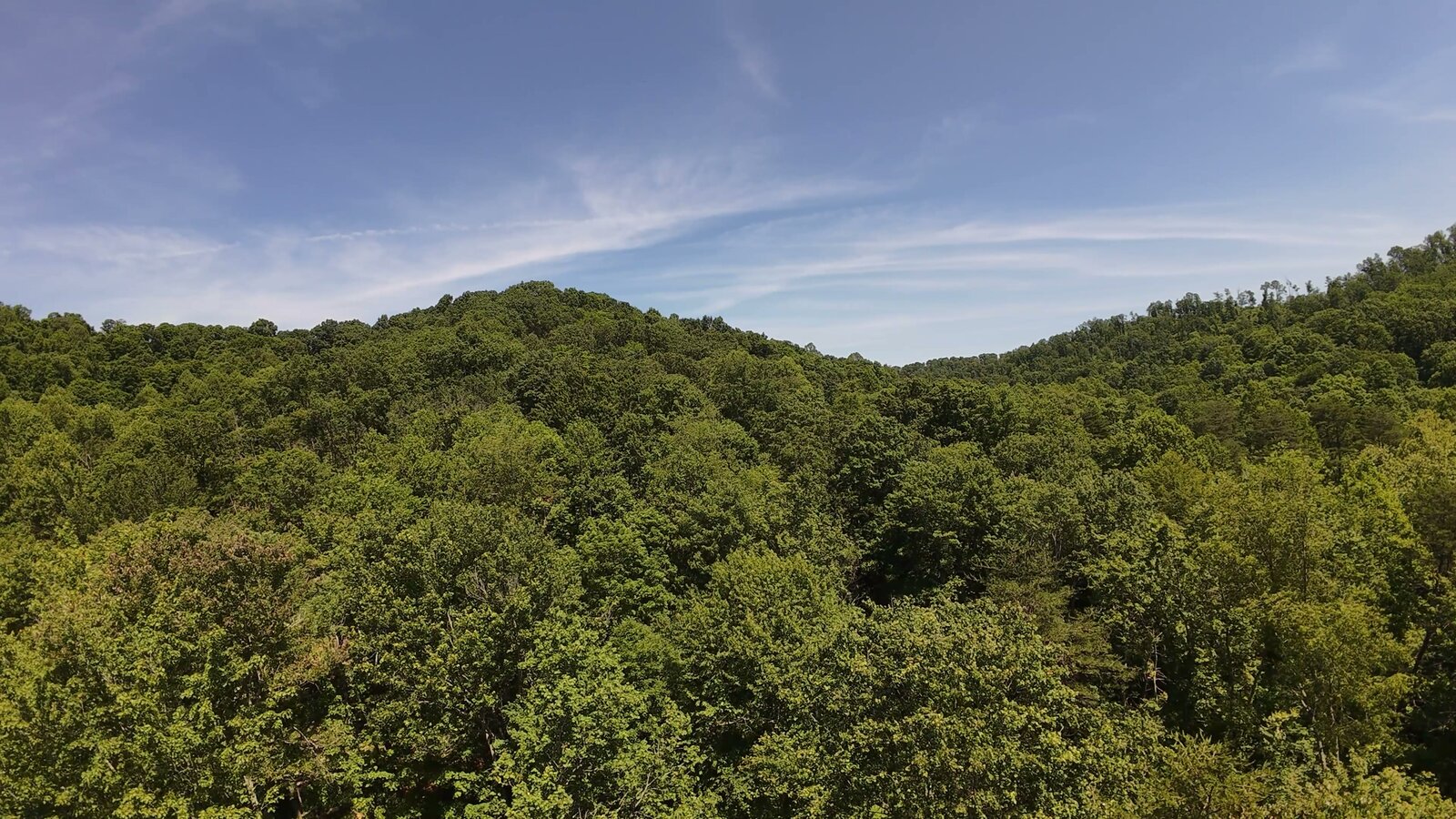0 Moats Hollow Rd - 153 Acres in Pike County, OH - Photo 8