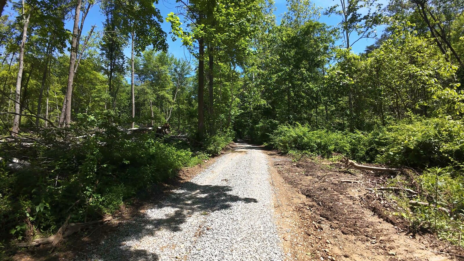 0 Moats Hollow Rd - 153 Acres in Pike County, OH - Photo 9