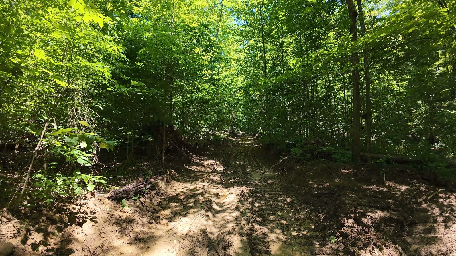 0 Moats Hollow Rd - 153 Acres in Pike County, OH