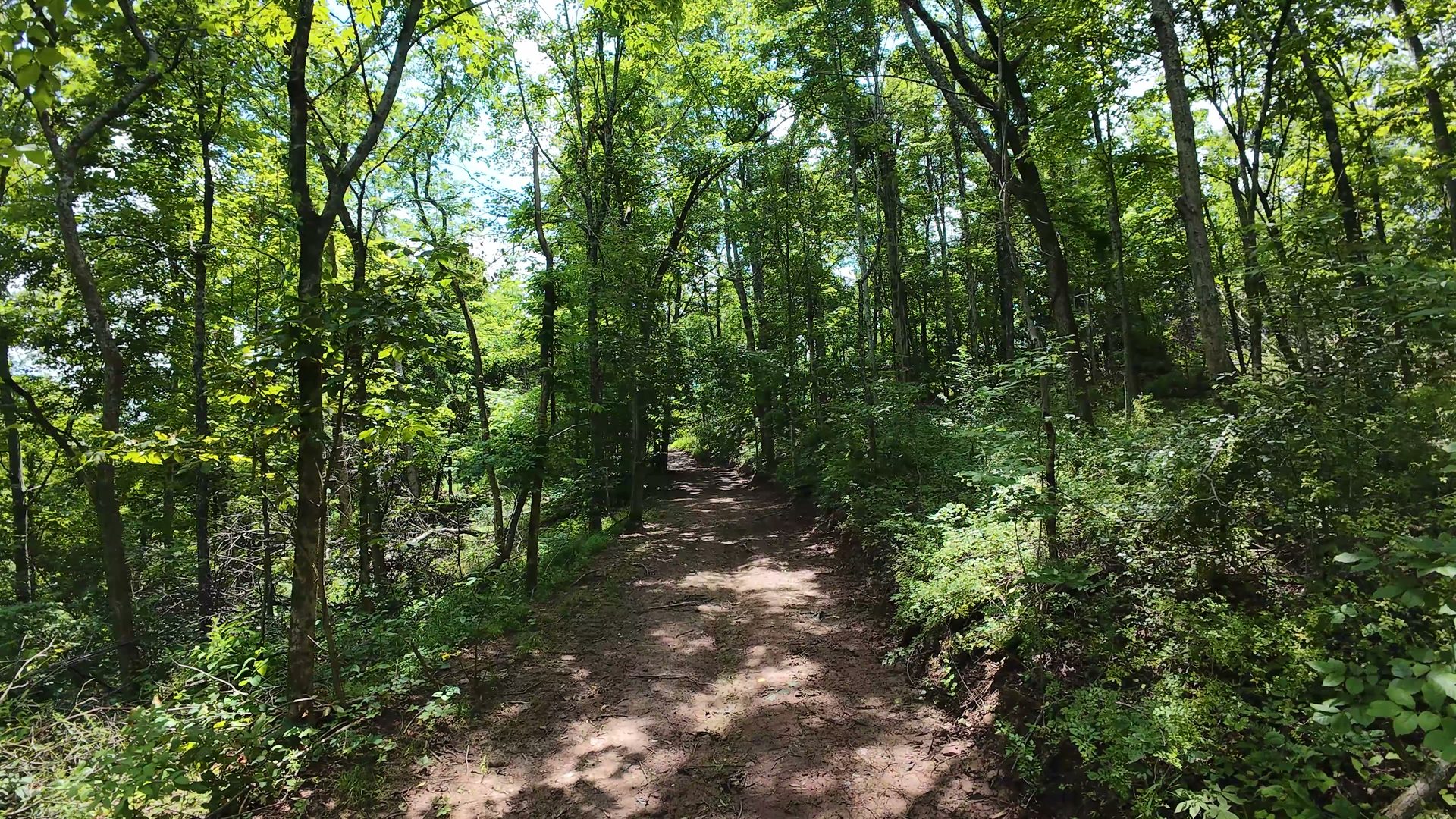 16 Acres Bordering Wayne National Forest in Washington County, OH - Shay Ridge Road Tract 10 - Photo 11