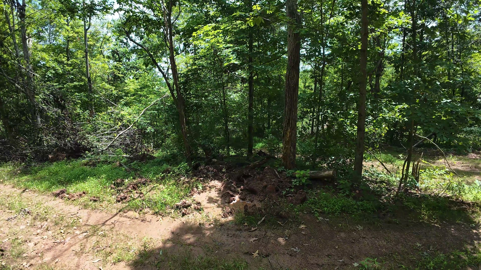 16 Acres Bordering Wayne National Forest in Washington County, OH - Shay Ridge Road Tract 10 - Photo 14