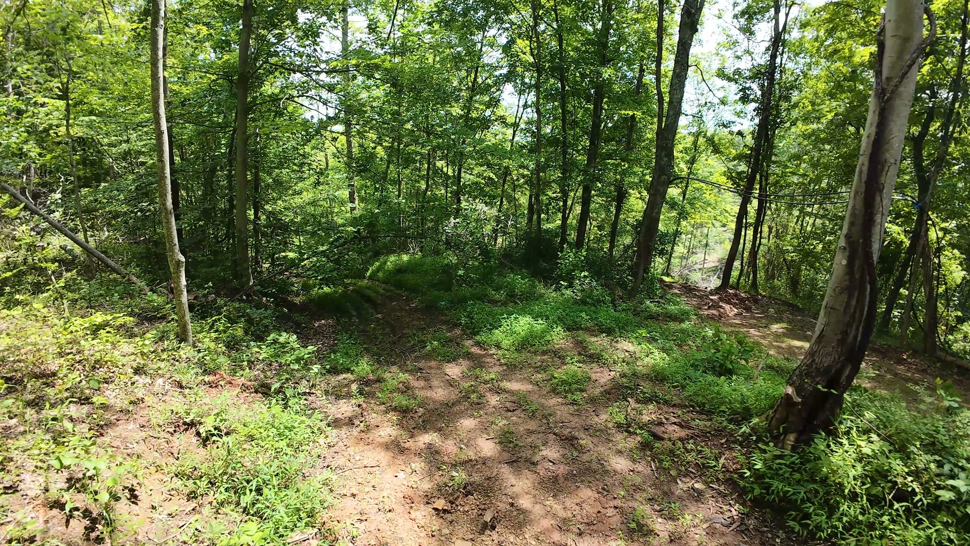 16 Acres Bordering Wayne National Forest in Washington County, OH - Shay Ridge Road Tract 10 - Photo 15