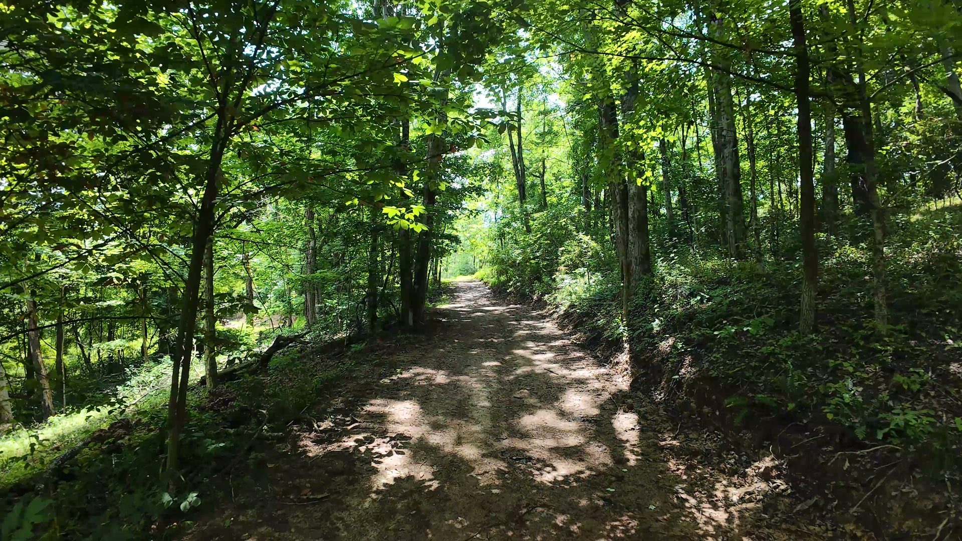 16 Acres Bordering Wayne National Forest in Washington County, OH - Shay Ridge Road Tract 10 - Photo 17